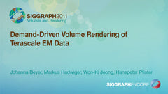 Demand-Driven Volume Rendering of Terascale EM Data