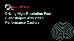Driving High-Resolution Facial Blendshapes With Video Performance Capture
