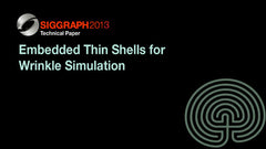 Embedded Thin Shells for Wrinkle Simulation