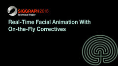 Real-Time Facial Animation With On-the-Fly Correctives
