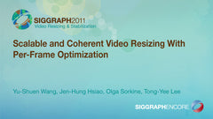 Scalable and Coherent Video Resizing With Per-Frame Optimization