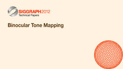 Binocular Tone Mapping