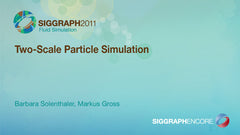 Two-Scale Particle Simulation